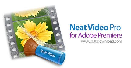 ABSoft Neat Video Pro for Adobe Premiere 
